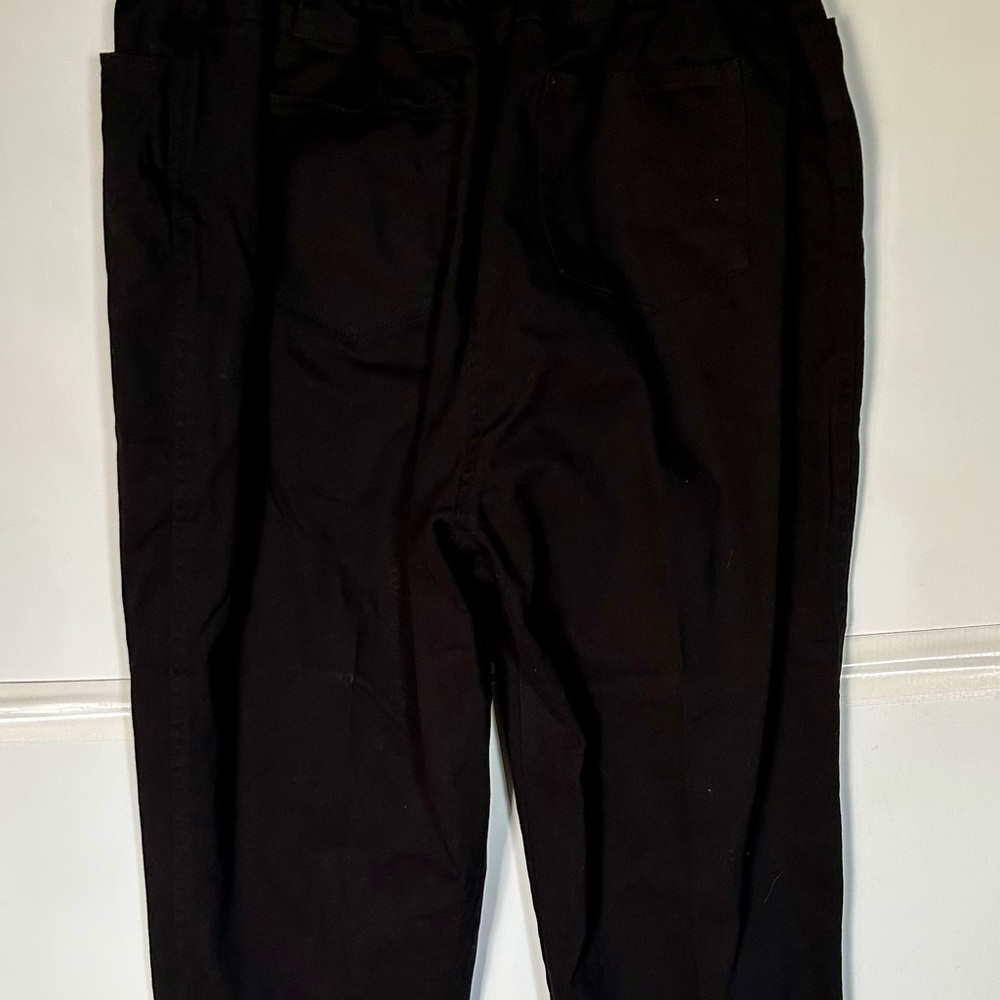 Quacker Factory Woman’s Black Pants with sparkly Beaded Embroidered Detail. L - Picture 4 of 4